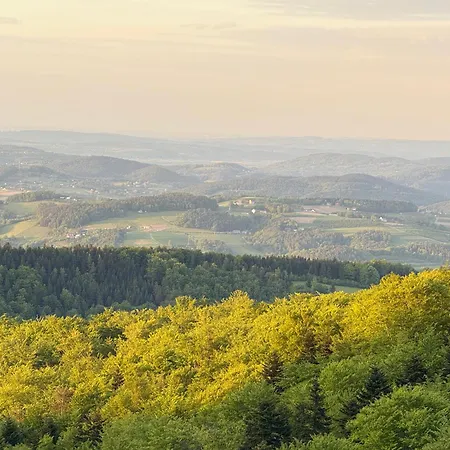 Hubertowka Pod Jaworzem Dom Villa *