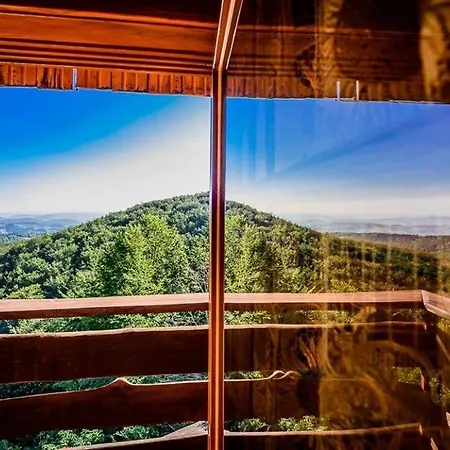 Villa Hubertowka Pod Jaworzem Dom *